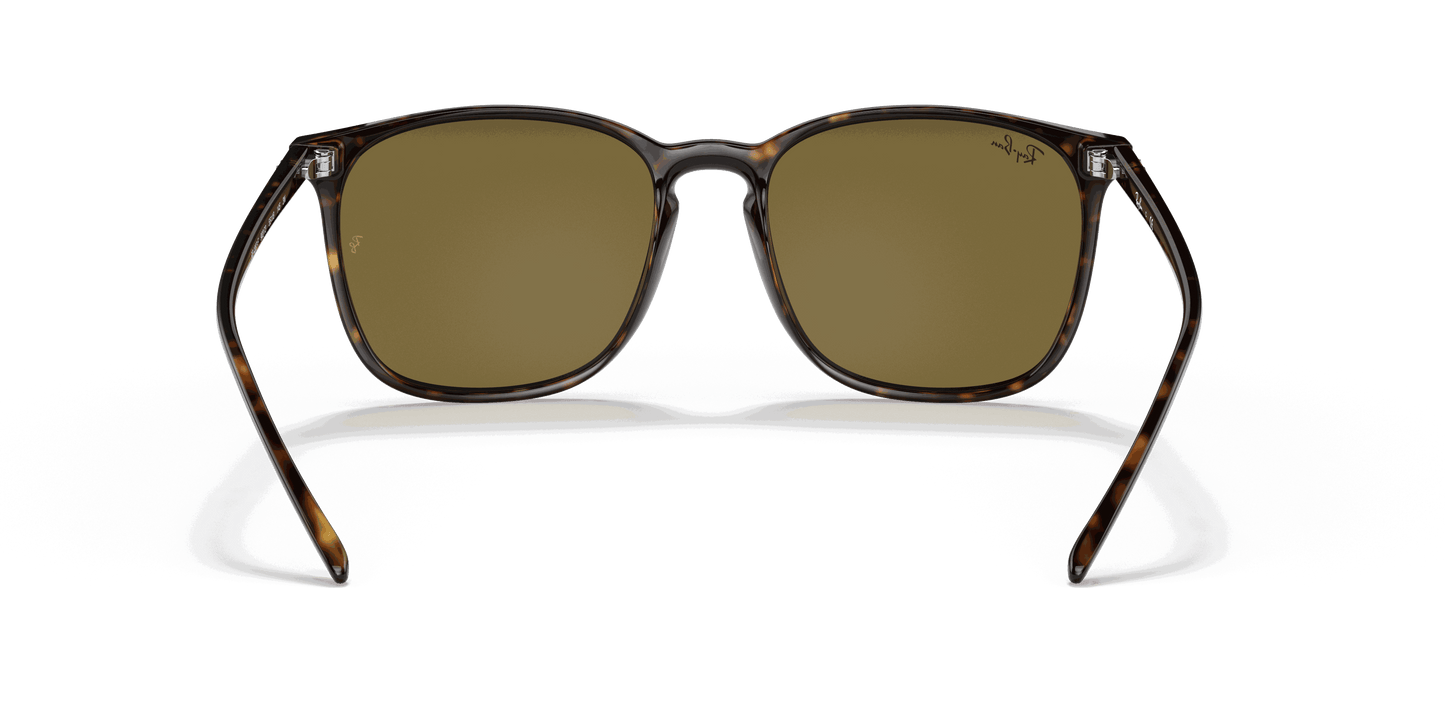 [Brown Classic Lenses, Polished Tortoise Frame]