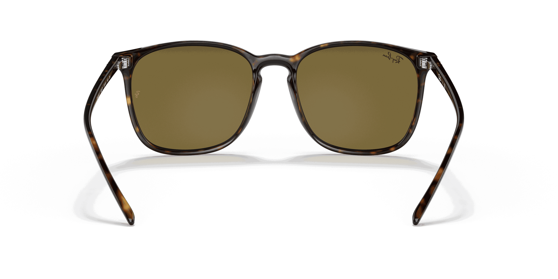 [Brown Classic Lenses, Polished Tortoise Frame]