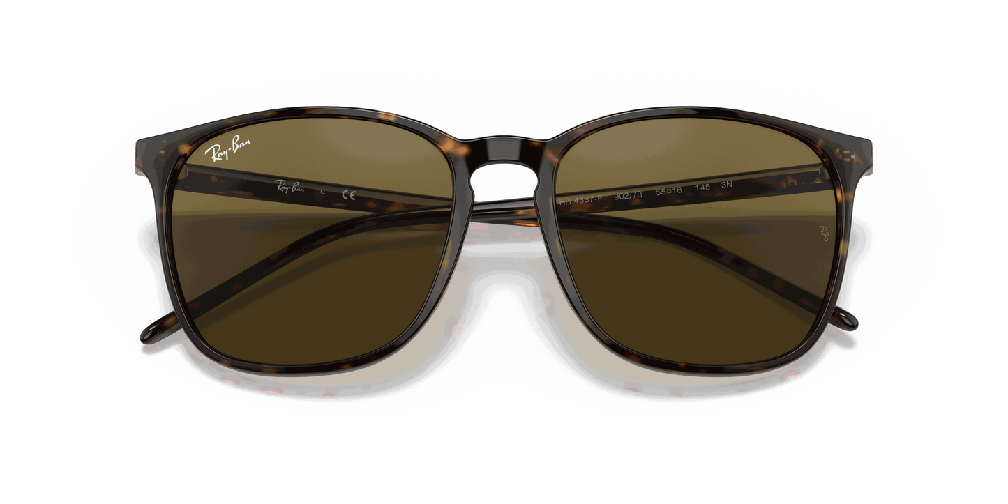 [Brown Classic Lenses, Polished Tortoise Frame]