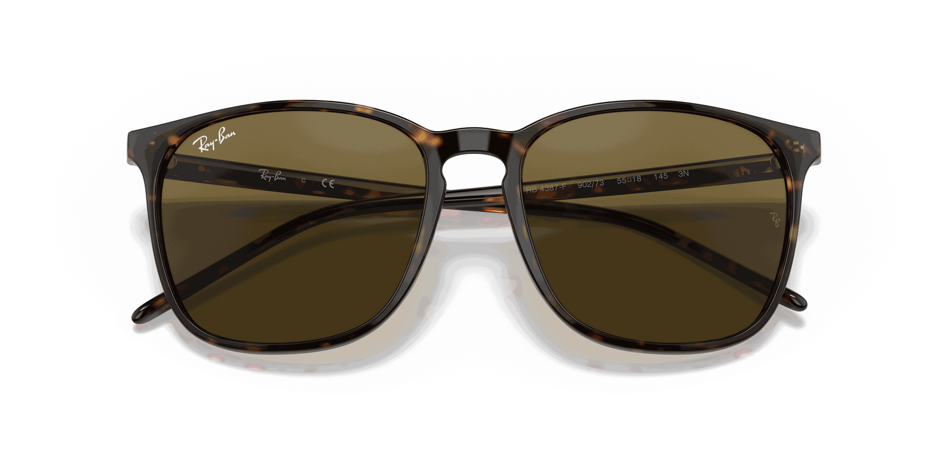 [Brown Classic Lenses, Polished Tortoise Frame]