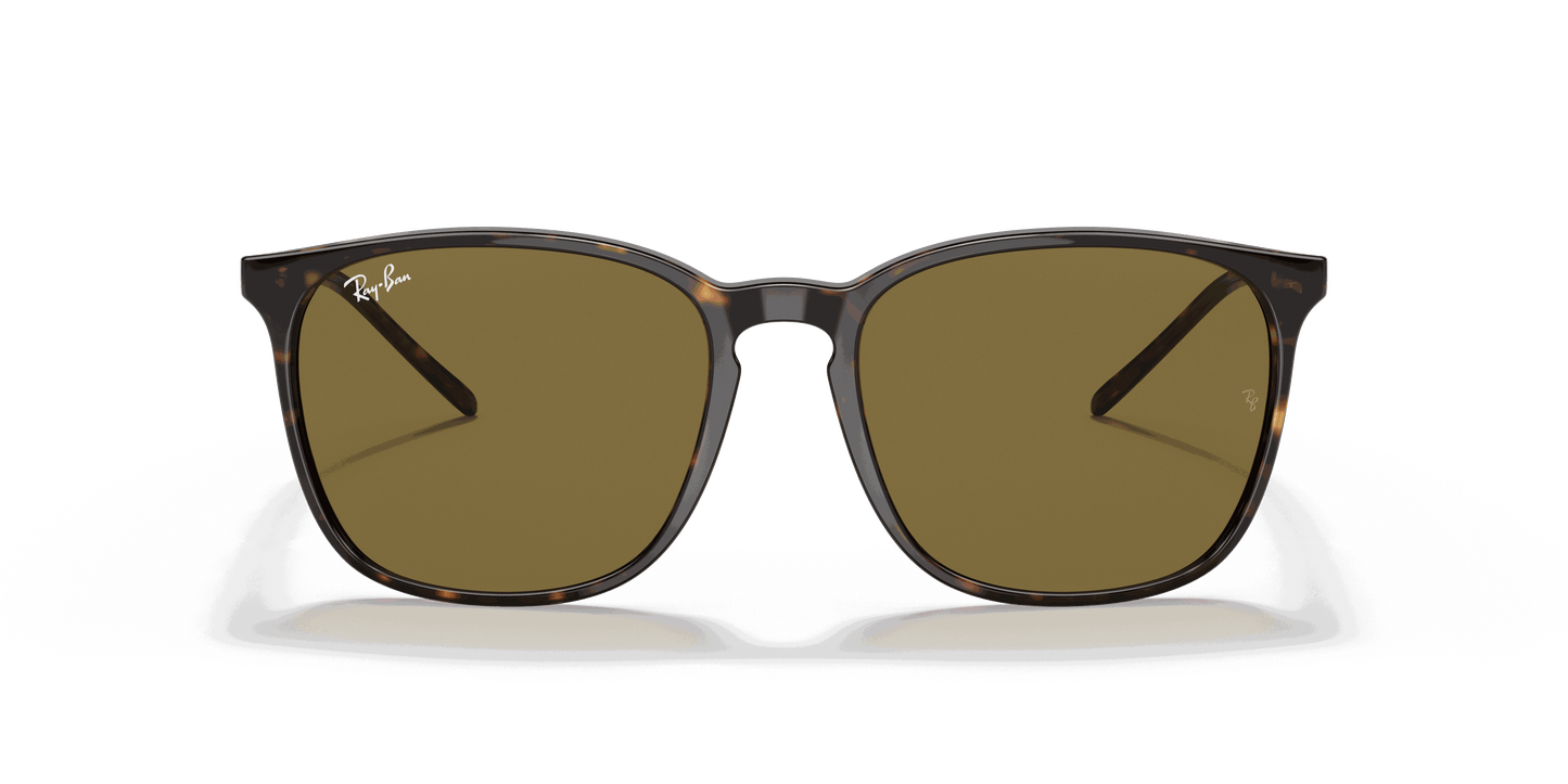 [Brown Classic Lenses, Polished Tortoise Frame]