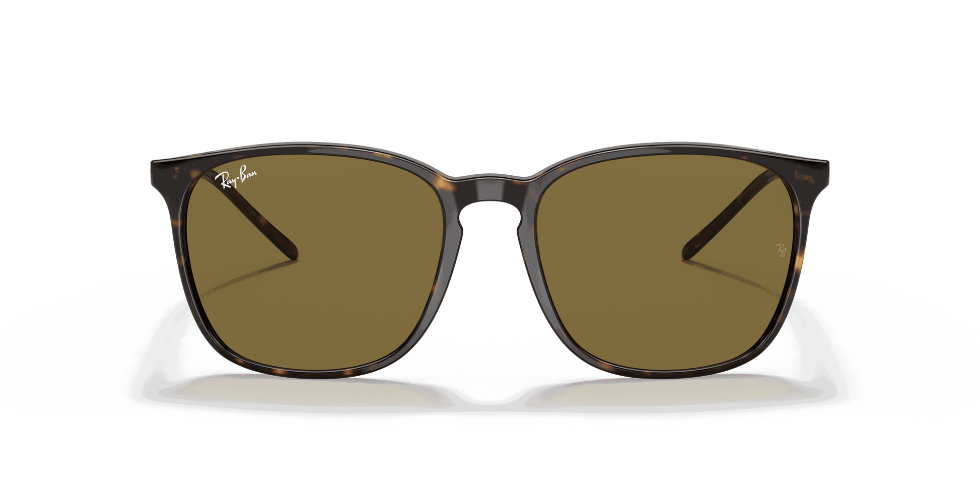 [Brown Classic Lenses, Polished Tortoise Frame]