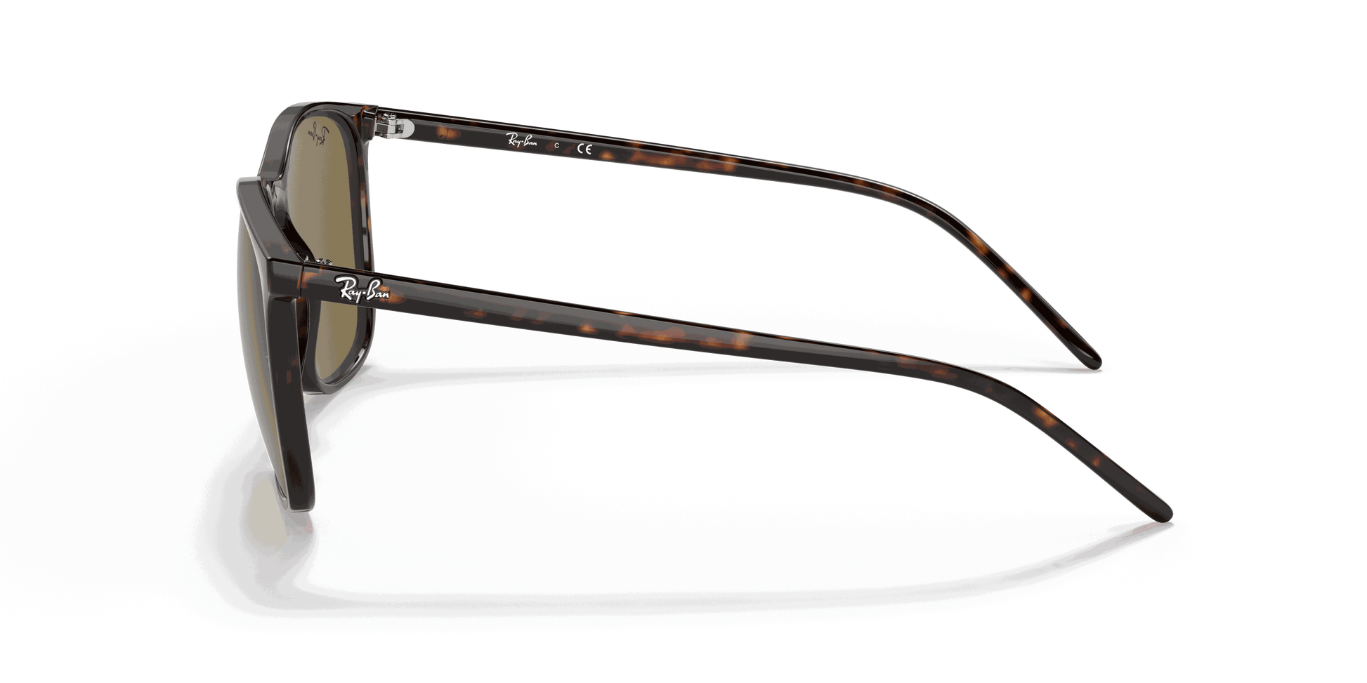 [Brown Classic Lenses, Polished Tortoise Frame]