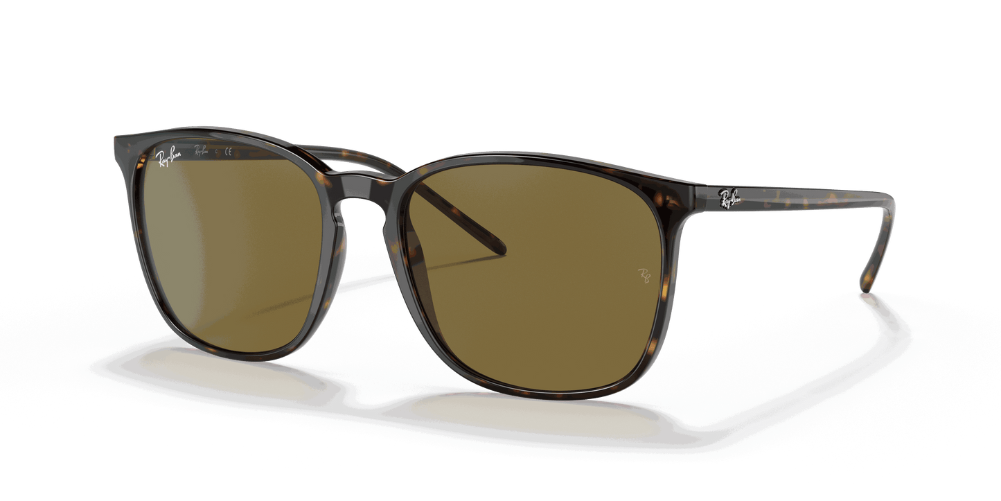 [Brown Classic Lenses, Polished Tortoise Frame]