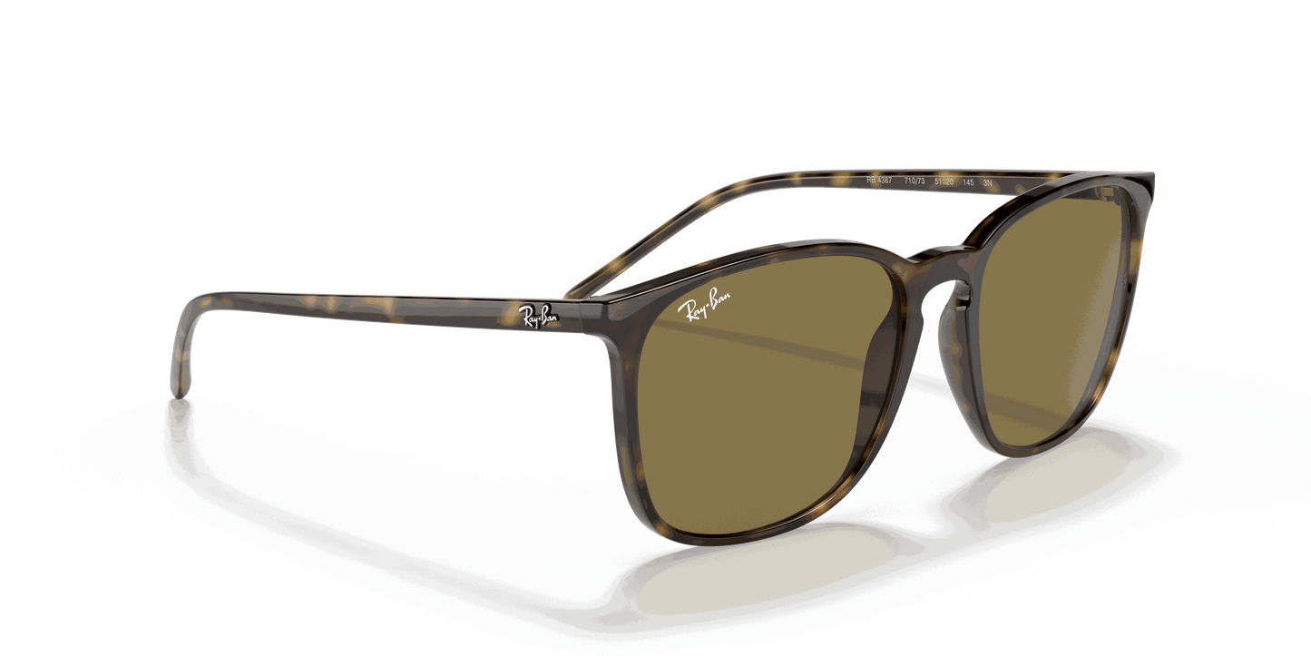 [B-15 Brown Lenses, Polished Light Havana Frame]