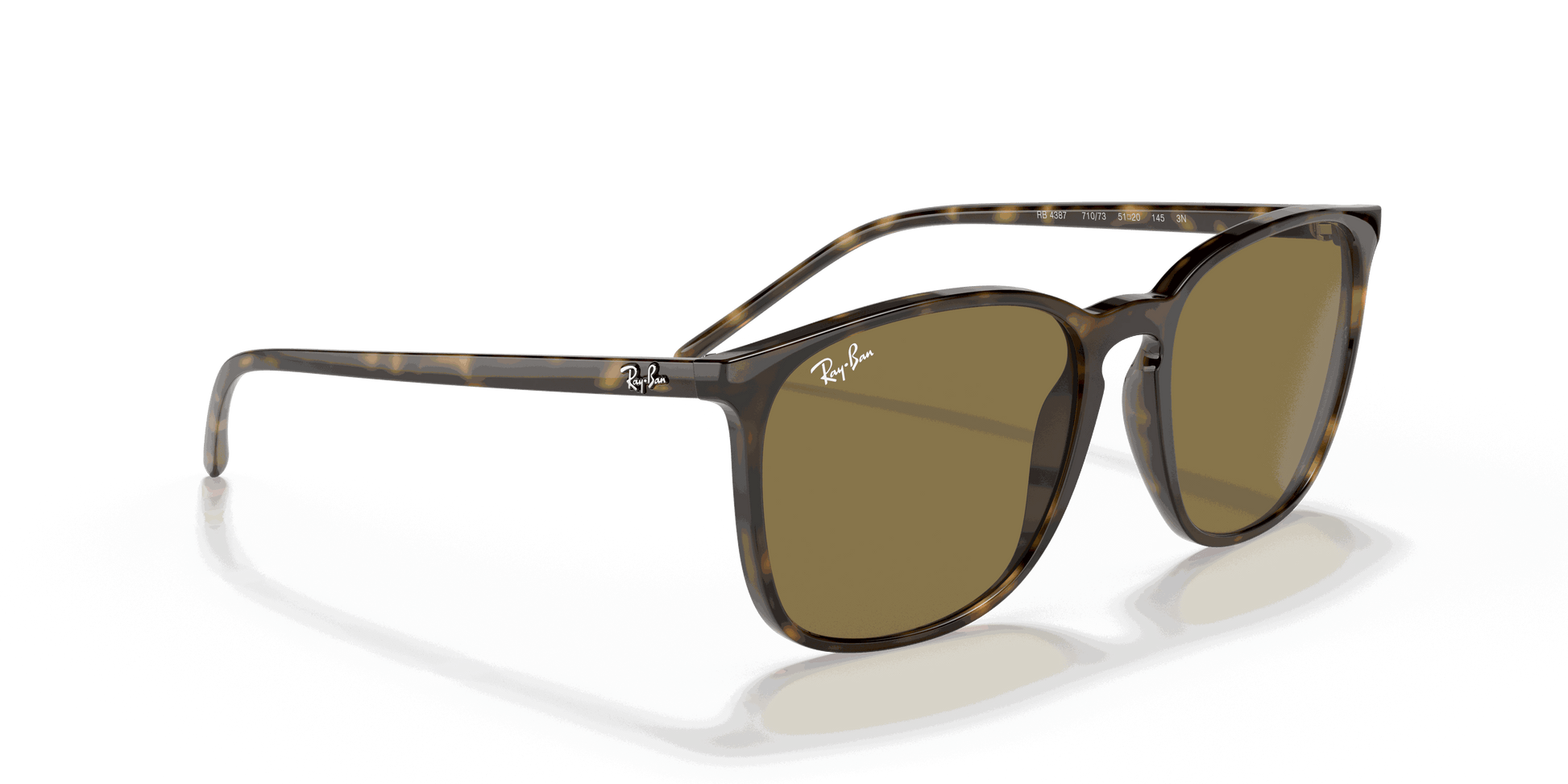 [B-15 Brown Lenses, Polished Light Havana Frame]