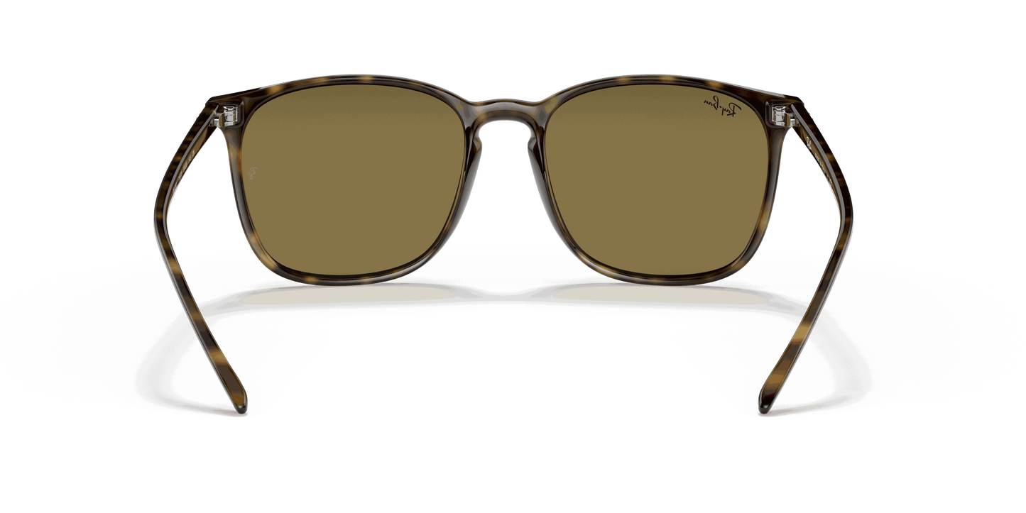 [B-15 Brown Lenses, Polished Light Havana Frame]