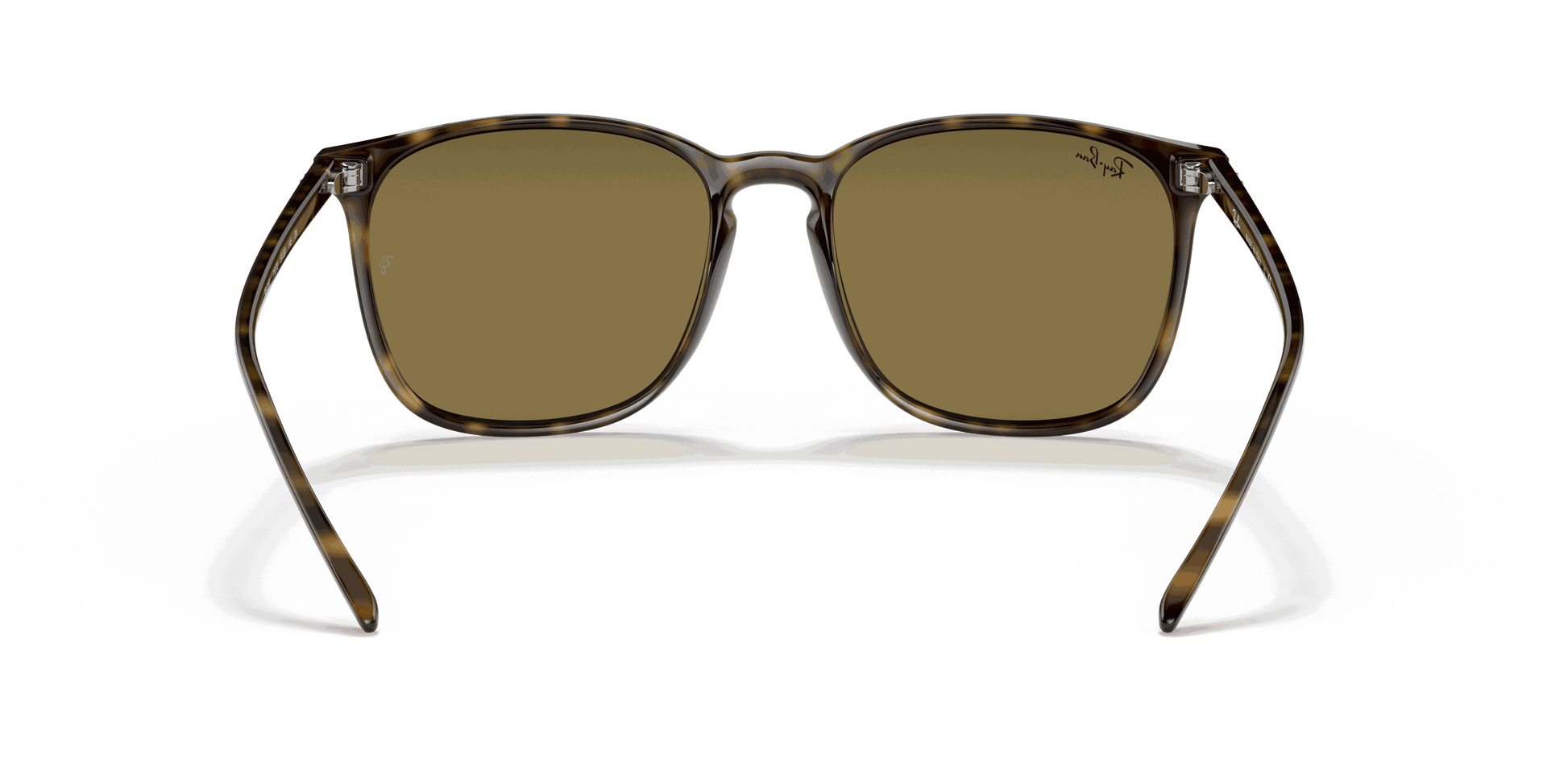 [B-15 Brown Lenses, Polished Light Havana Frame]