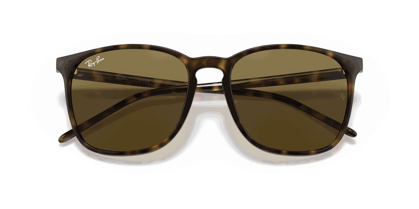 [B-15 Brown Lenses, Polished Light Havana Frame]
