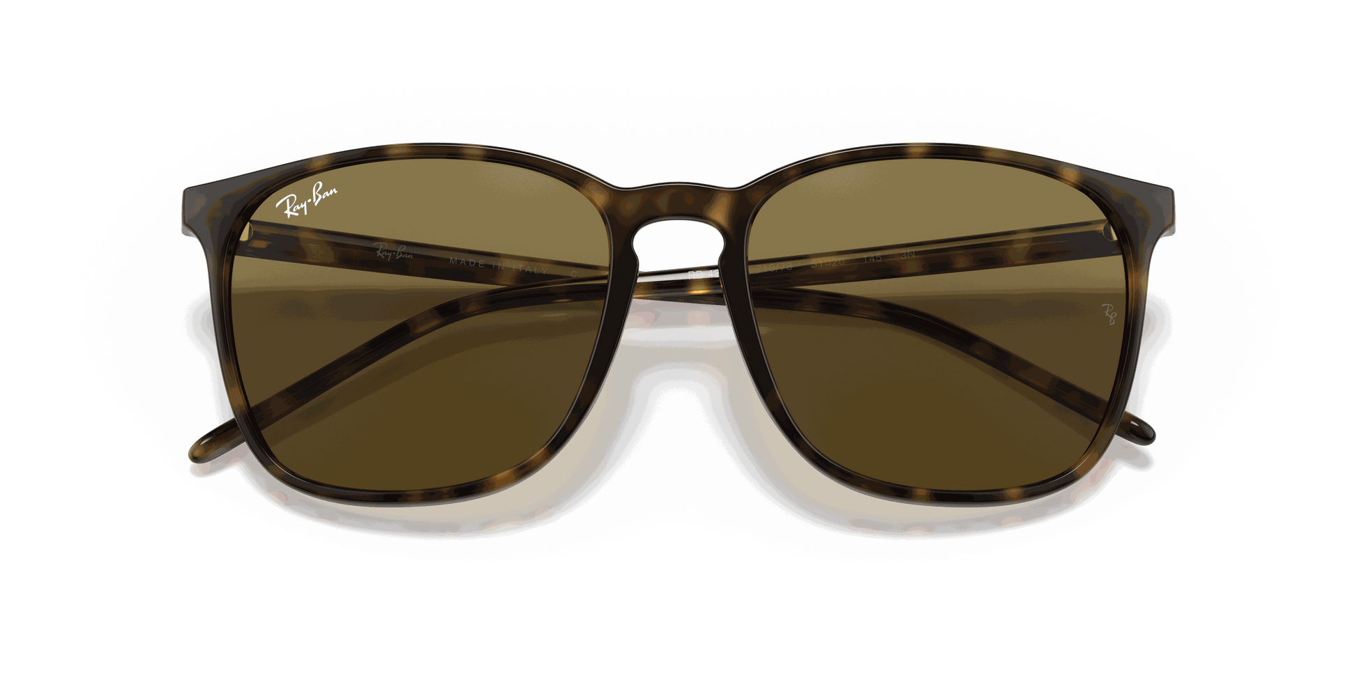 [B-15 Brown Lenses, Polished Light Havana Frame]