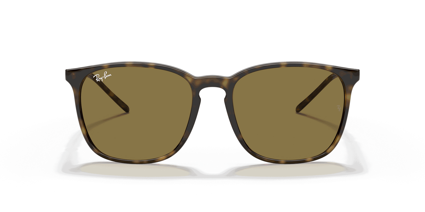 [B-15 Brown Lenses, Polished Light Havana Frame]