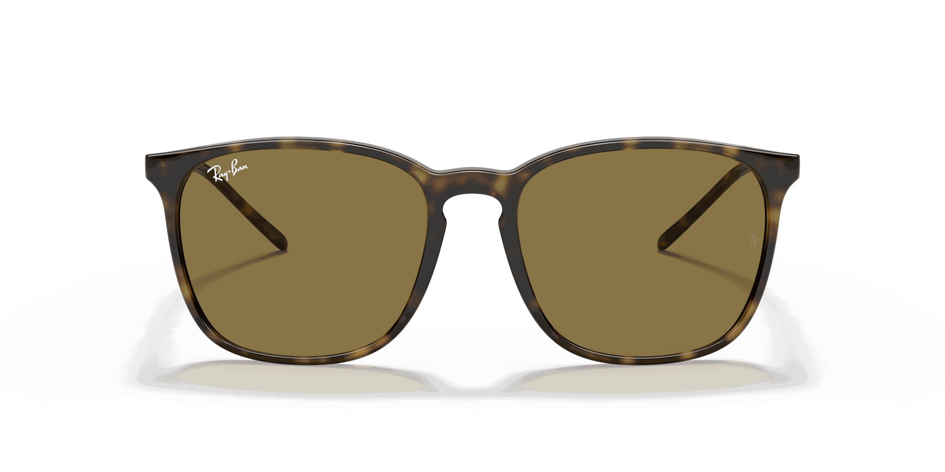 [B-15 Brown Lenses, Polished Light Havana Frame]
