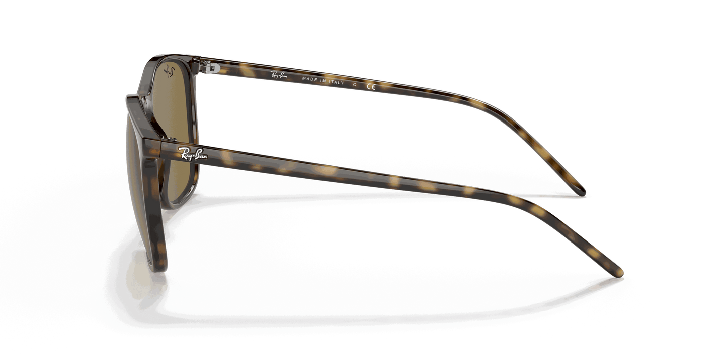 [B-15 Brown Lenses, Polished Light Havana Frame]