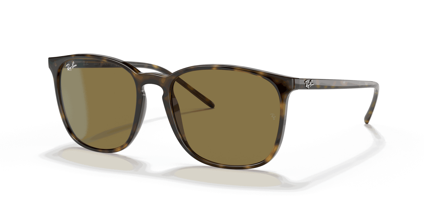 [B-15 Brown Lenses, Polished Light Havana Frame]
