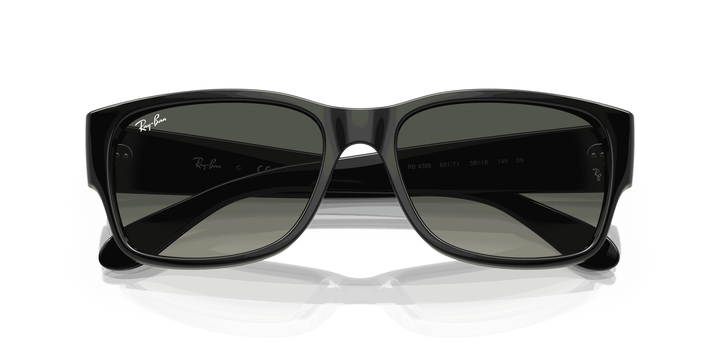 [Grey Lenses, Polished Black Frame]