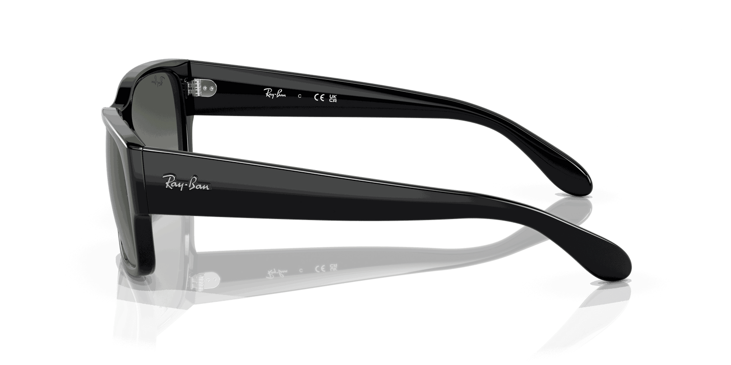 [Grey Lenses, Polished Black Frame]