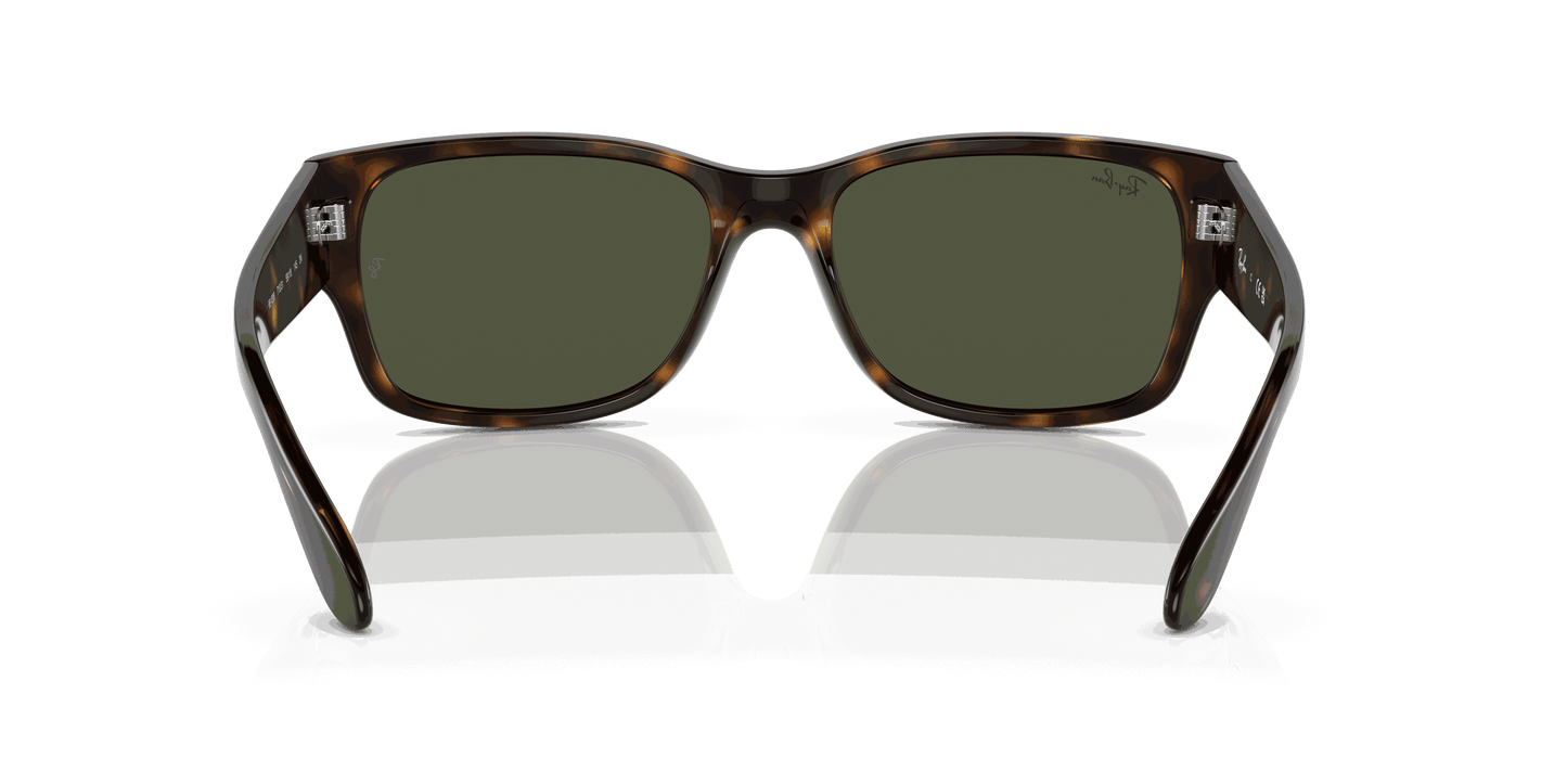 [Green Lenses, Polished Havana Frame]