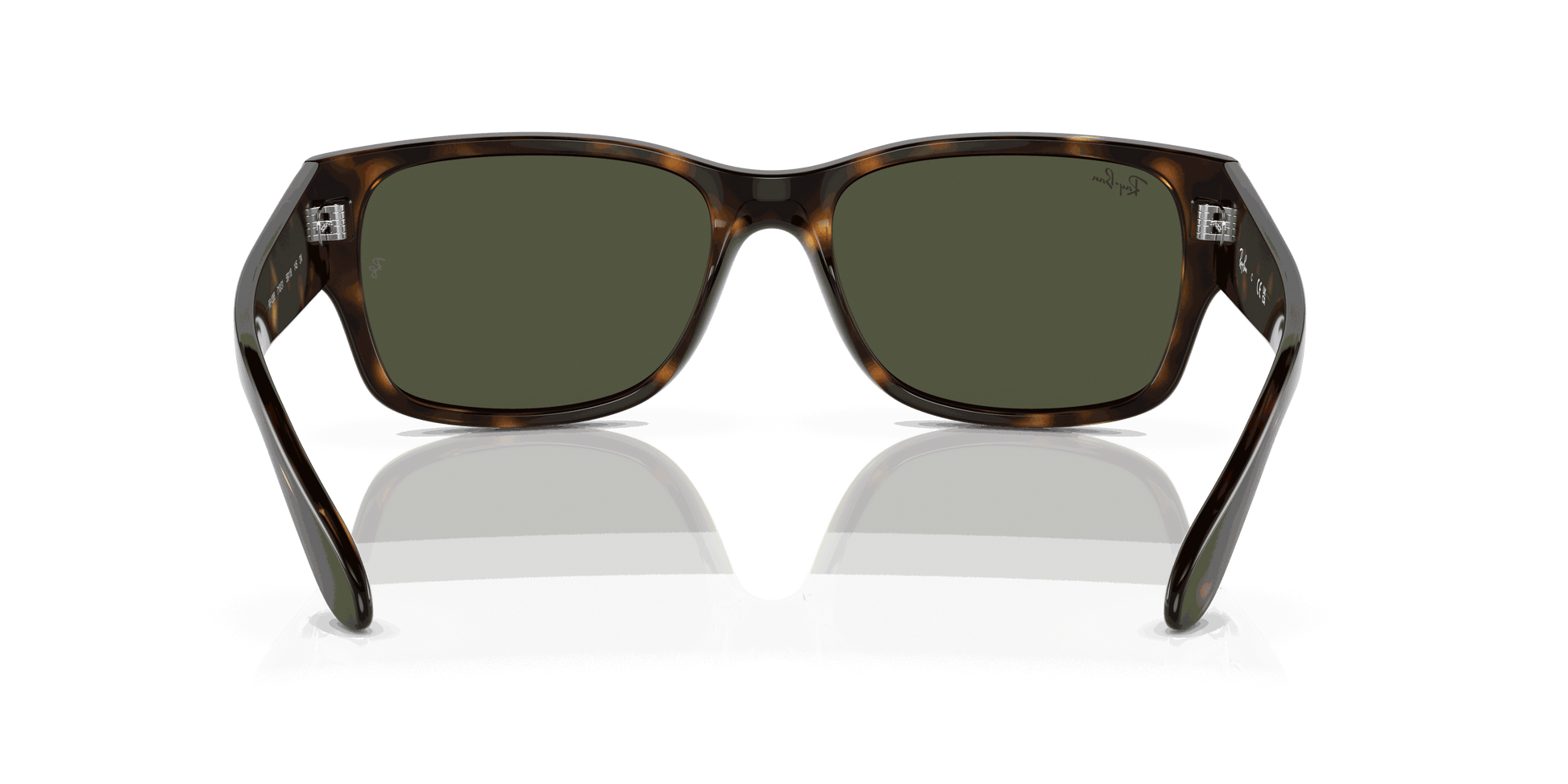 [Green Lenses, Polished Havana Frame]