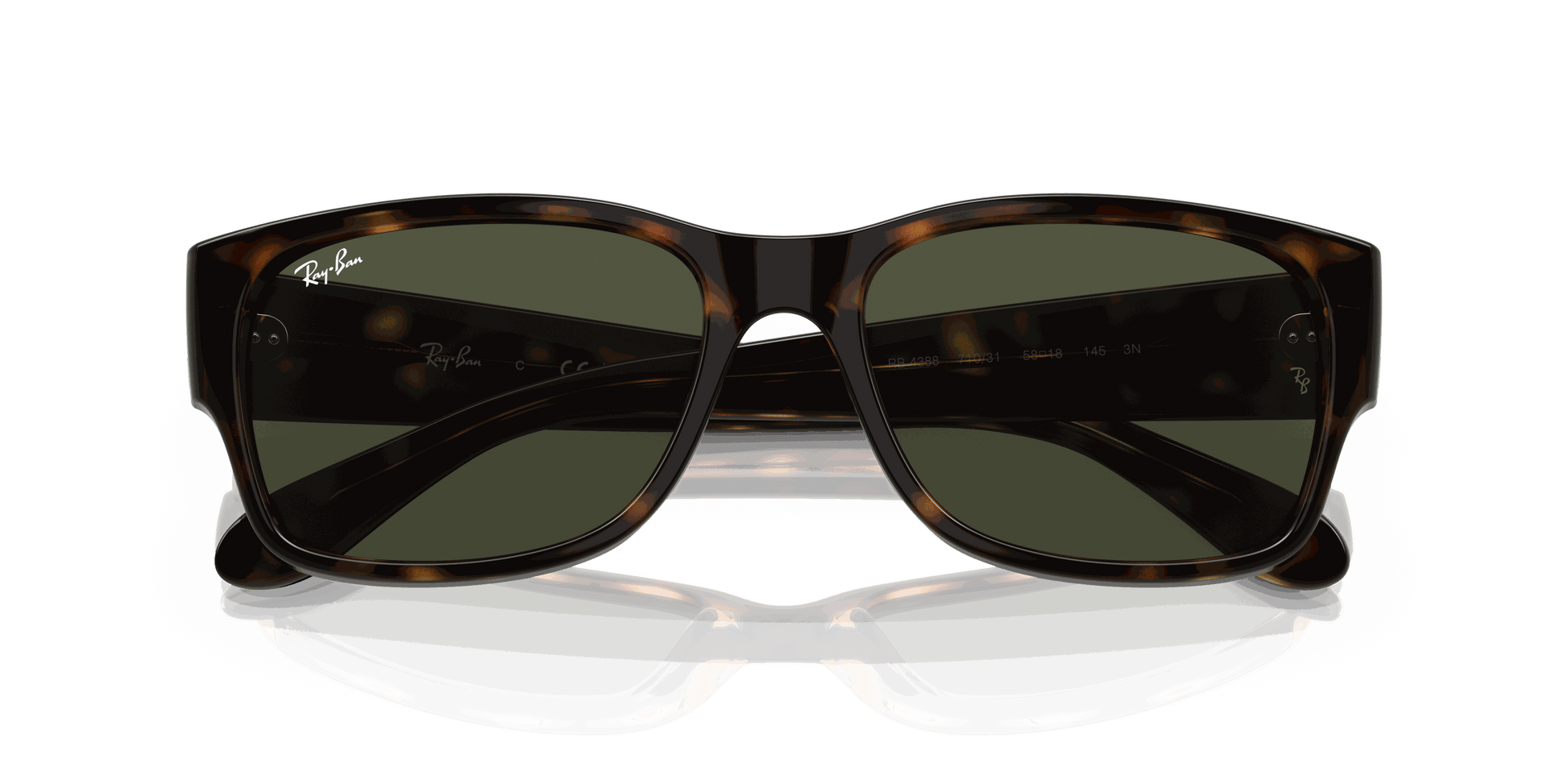 [Green Lenses, Polished Havana Frame]
