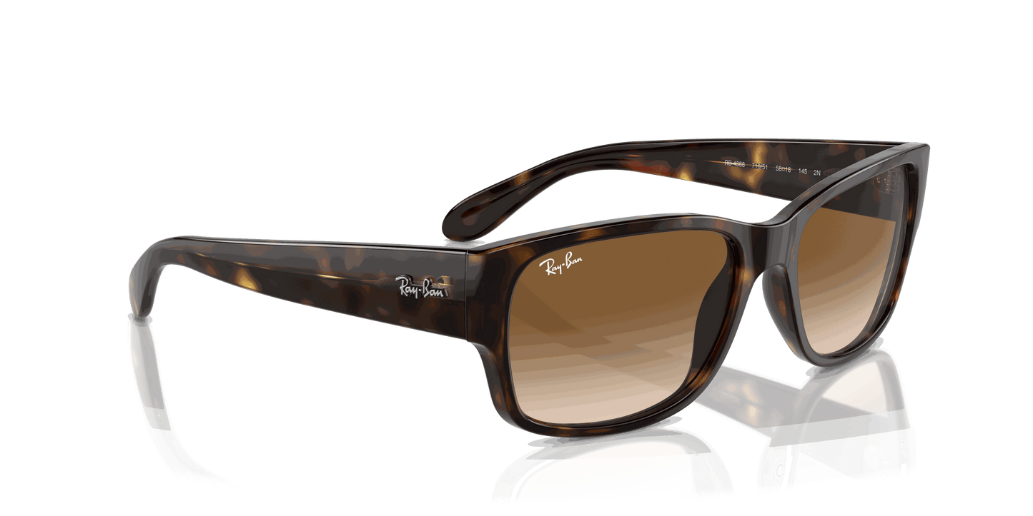 [Clear & Brown Lenses, Polished Havana Frame]