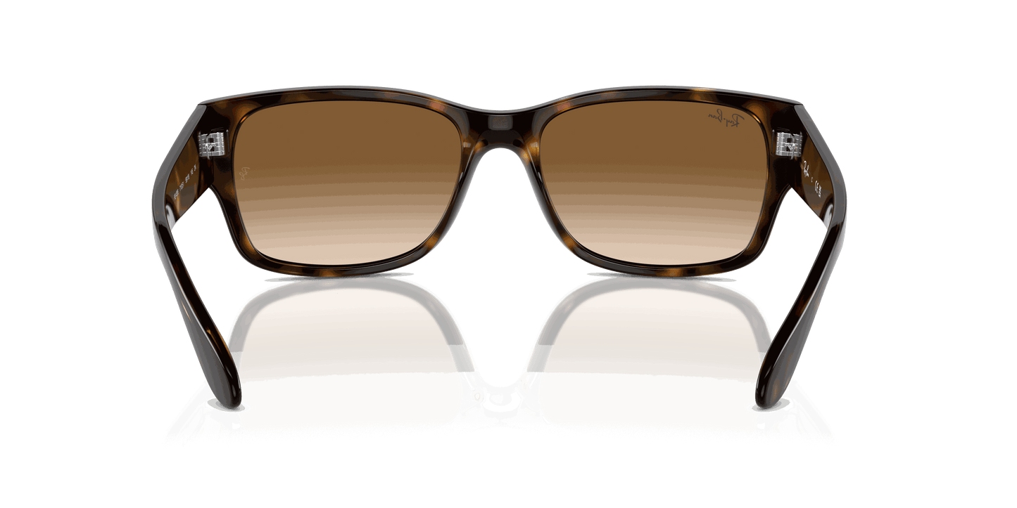 [Clear & Brown Lenses, Polished Havana Frame]