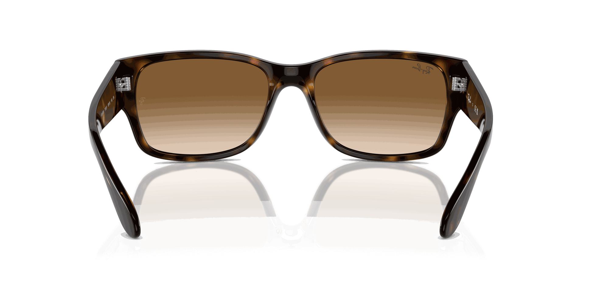 [Clear & Brown Lenses, Polished Havana Frame]