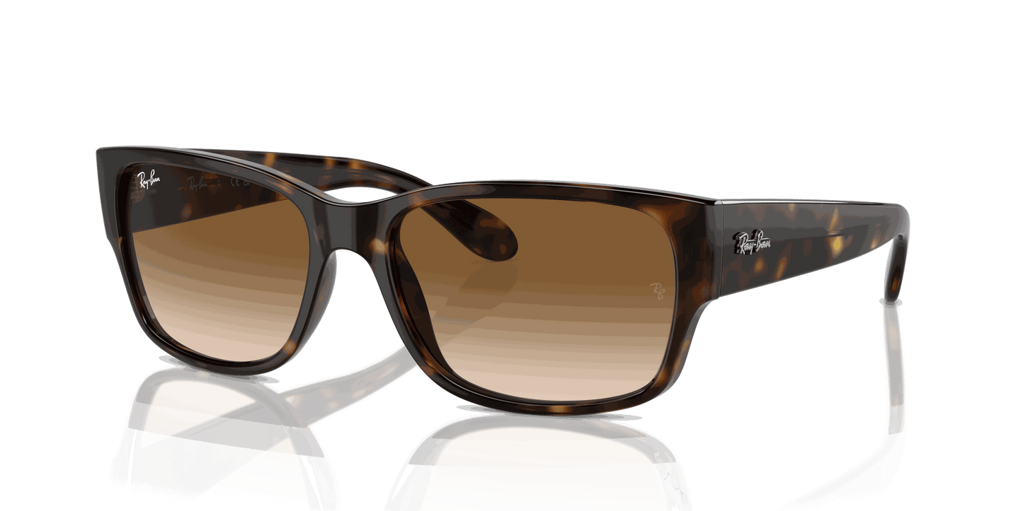 [Clear & Brown Lenses, Polished Havana Frame]