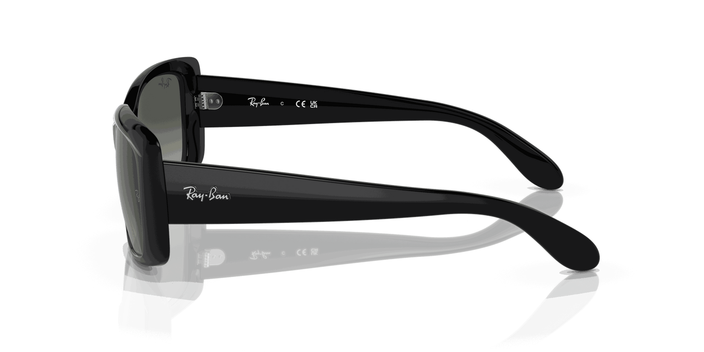 [Grey Lenses, Polished Black Frame]