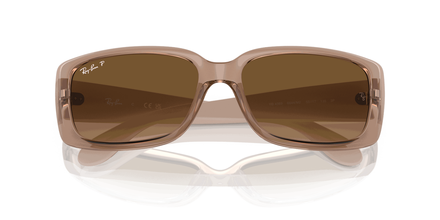 [Brown Lenses, Polished Transparent Brown Frame]