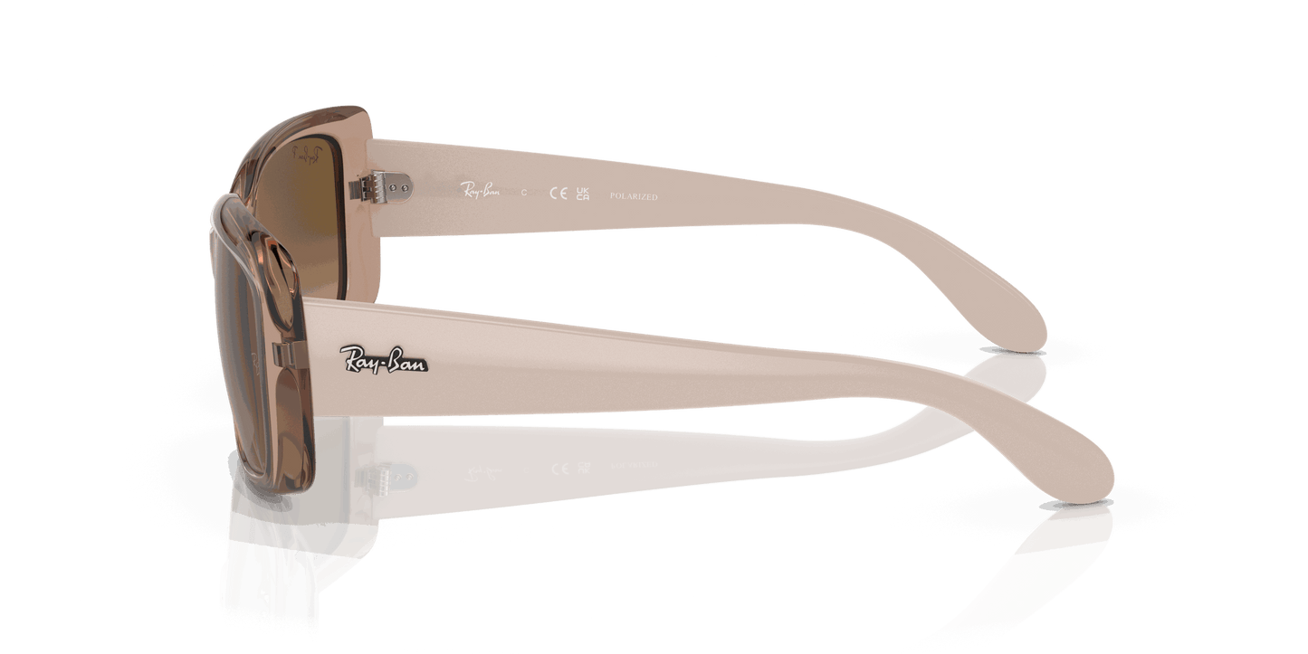 [Brown Lenses, Polished Transparent Brown Frame]