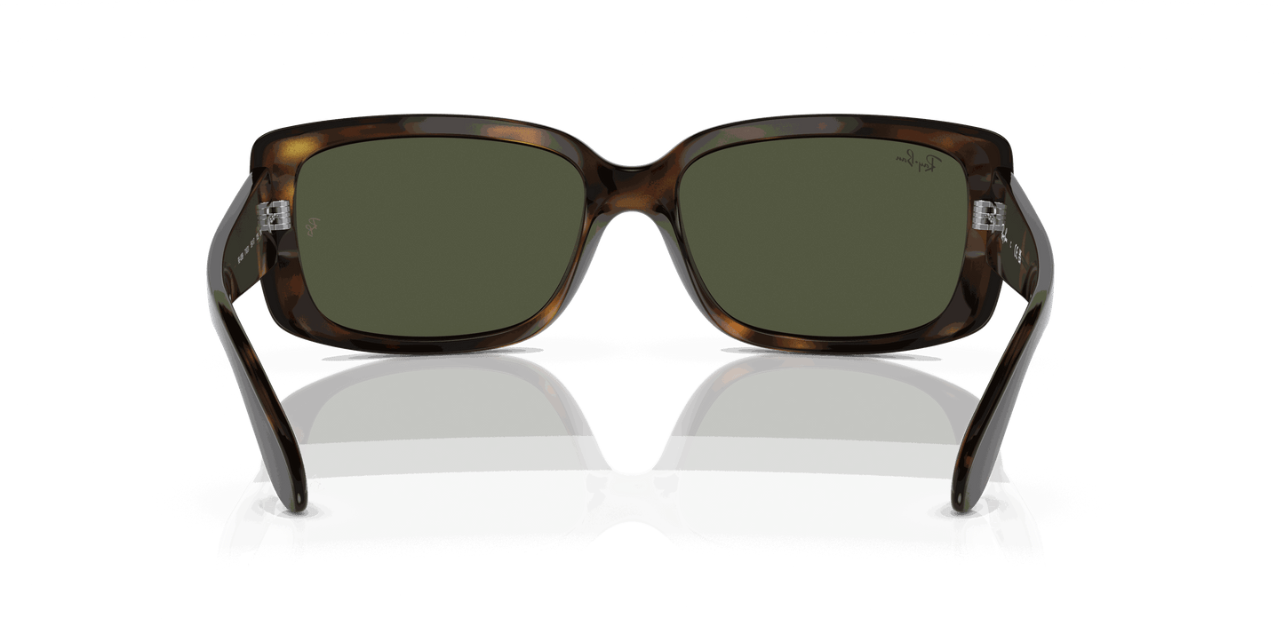 [Green Lenses, Polished Havana Frame]