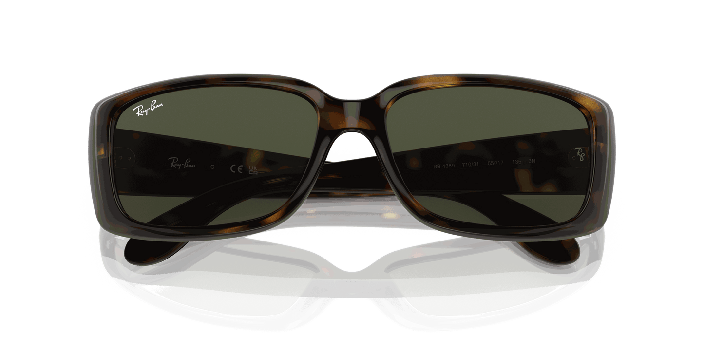 [Green Lenses, Polished Havana Frame]
