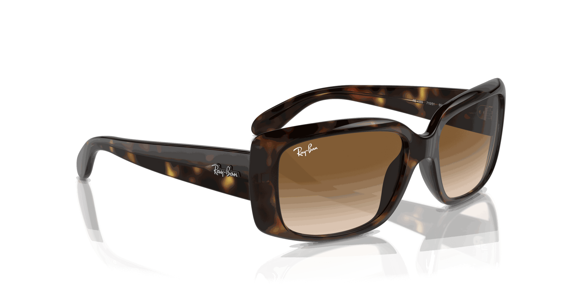 [Clear Brown Lenses, Polished Havana Frame]