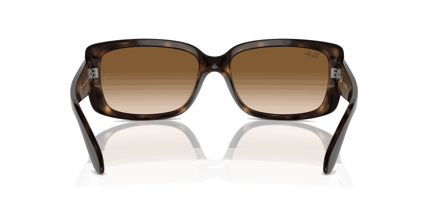 [Clear Brown Lenses, Polished Havana Frame]