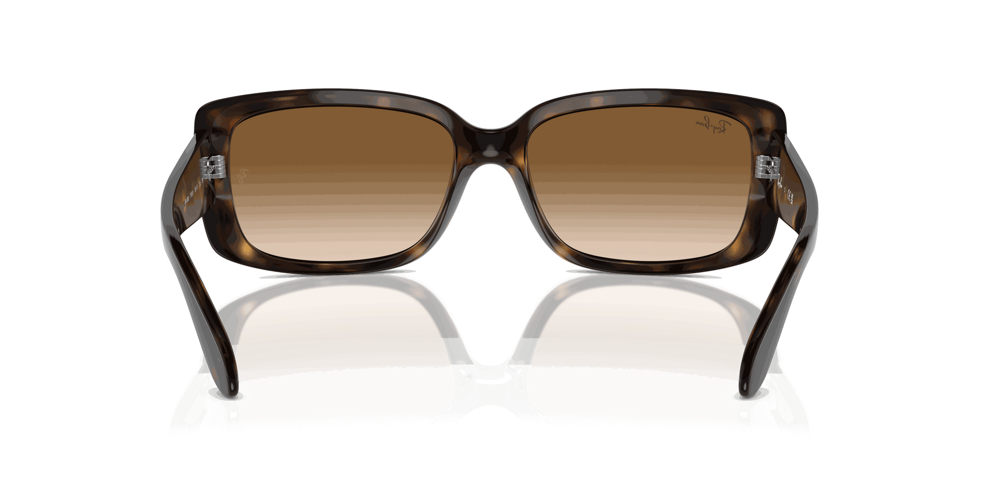 [Clear Brown Lenses, Polished Havana Frame]