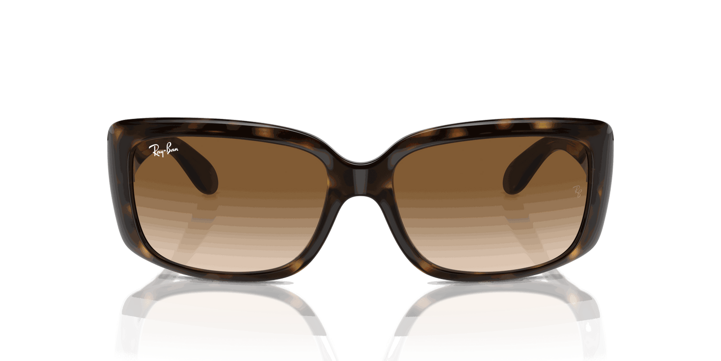 [Clear Brown Lenses, Polished Havana Frame]