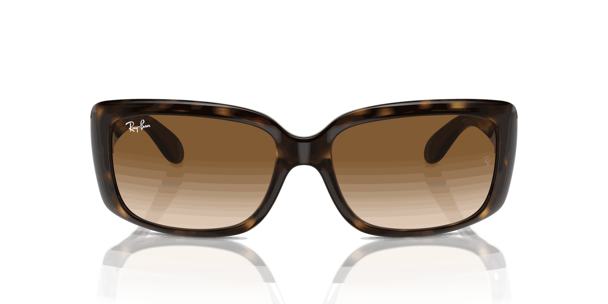 [Clear Brown Lenses, Polished Havana Frame]