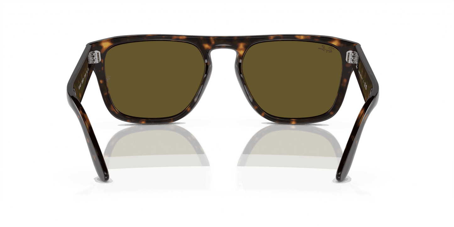 [Dark Brown Lenses, Polished Havana Frame]