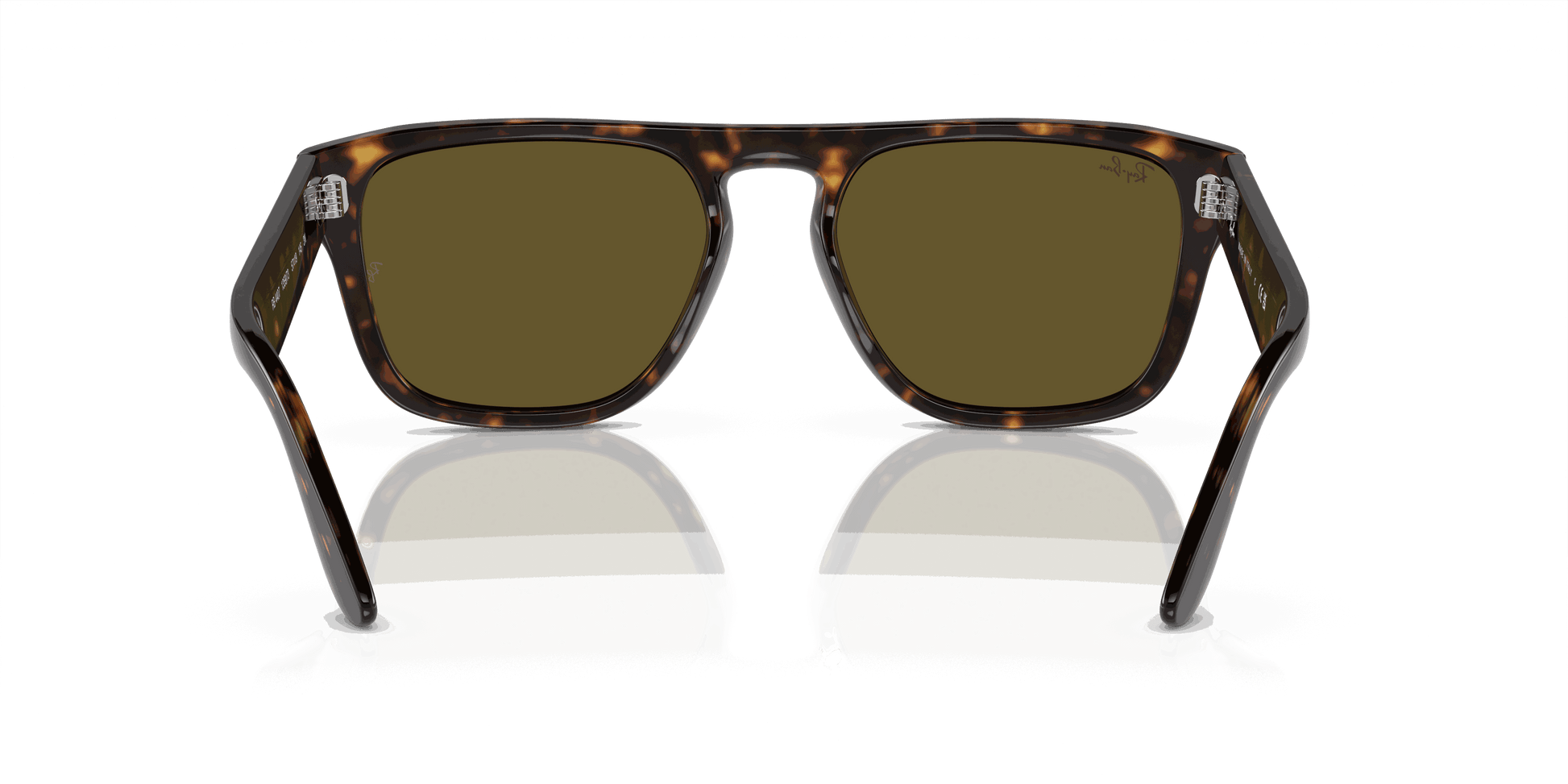 [Dark Brown Lenses, Polished Havana Frame]