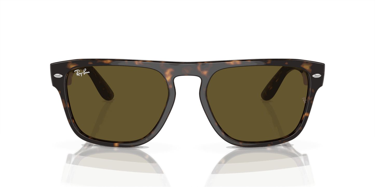 [Dark Brown Lenses, Polished Havana Frame]