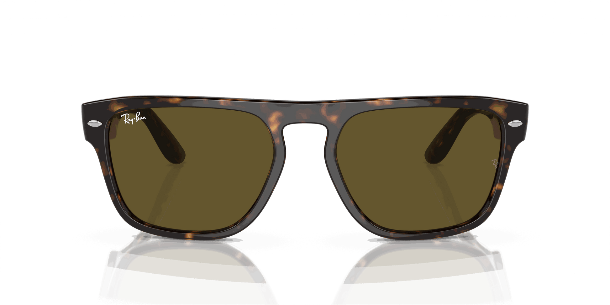 [Dark Brown Lenses, Polished Havana Frame]