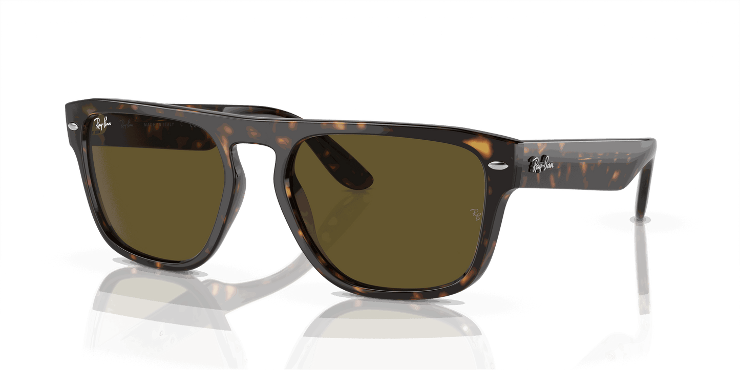 [Dark Brown Lenses, Polished Havana Frame]