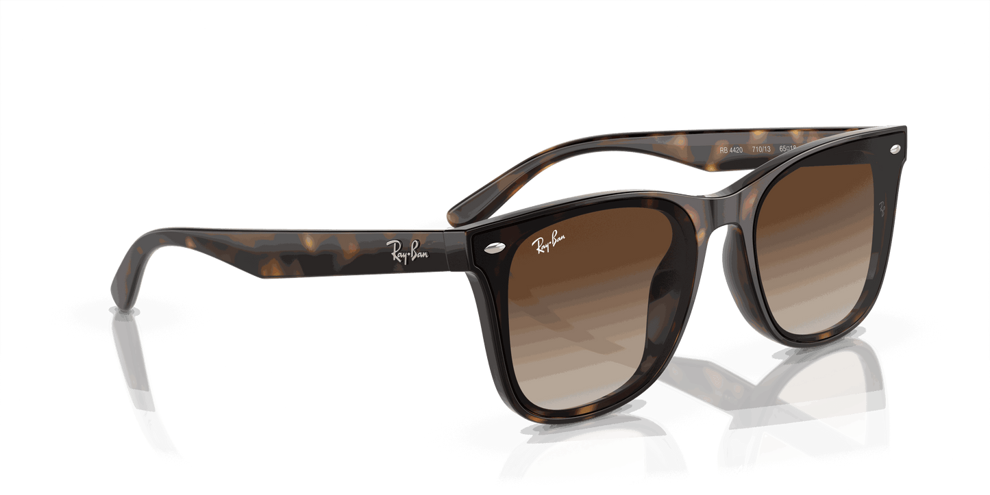 [Brown Lenses, Polished Havana Frame]