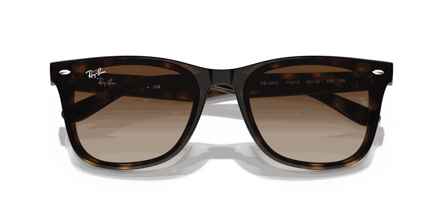[Brown Lenses, Polished Havana Frame]