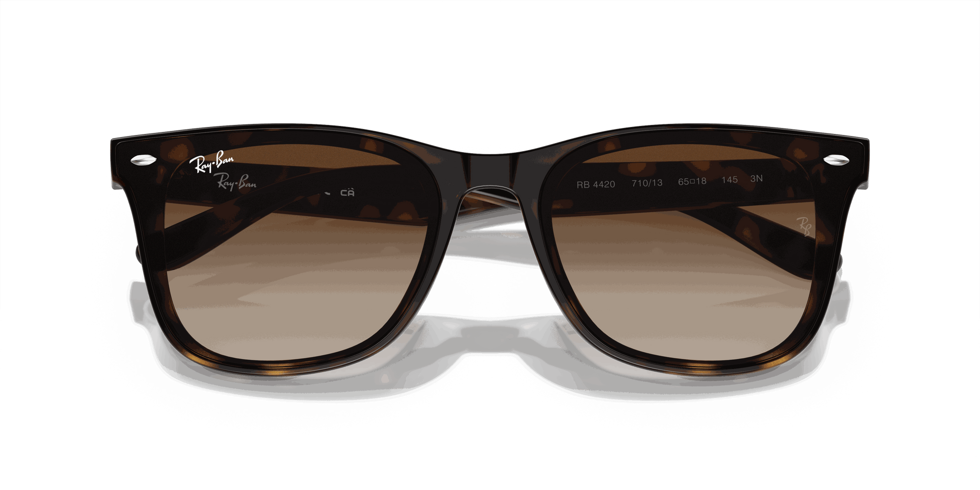 [Brown Lenses, Polished Havana Frame]