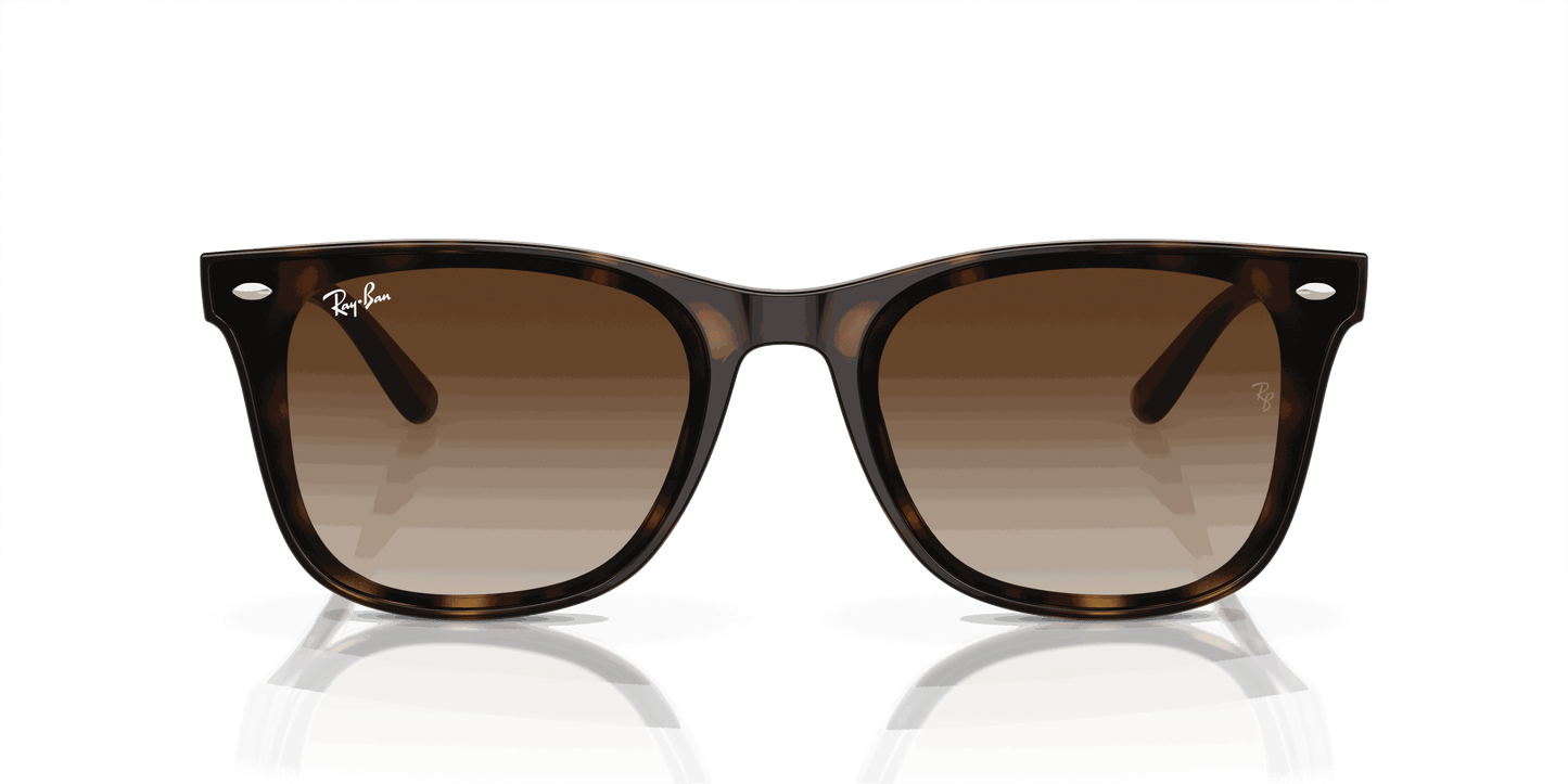 [Brown Lenses, Polished Havana Frame]