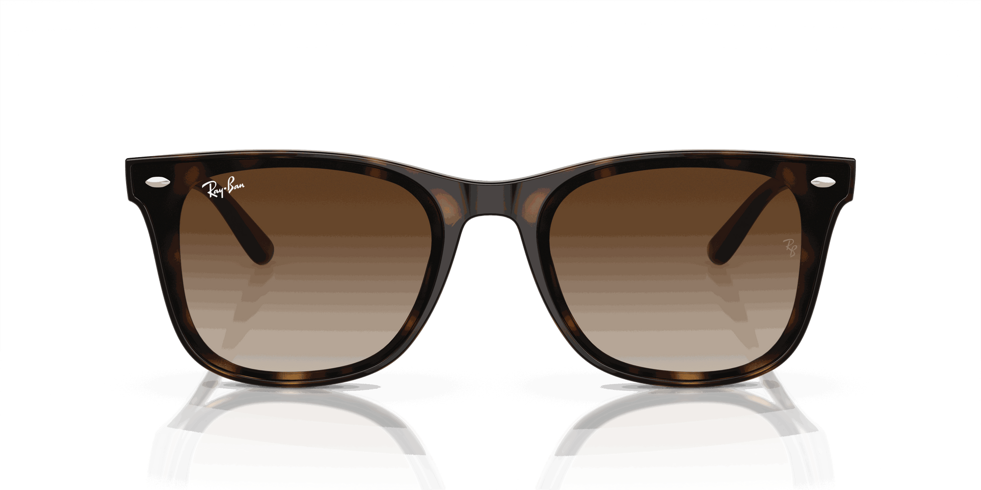 [Brown Lenses, Polished Havana Frame]