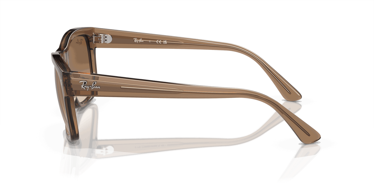 [Clear/Brown Lenses, Polished Transparent Light Brown Frame]