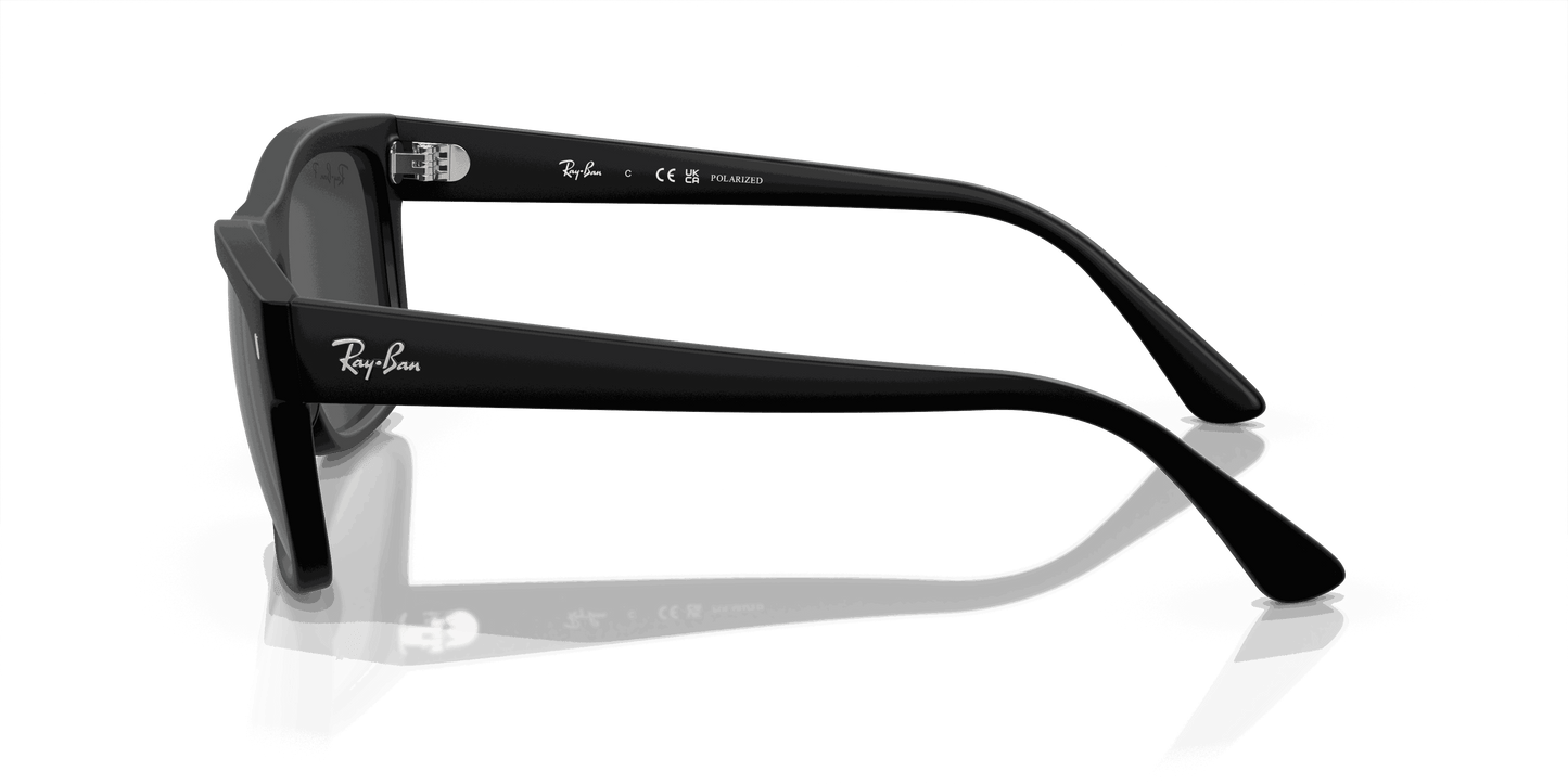 [Black Lenses, Matte Black Frame]