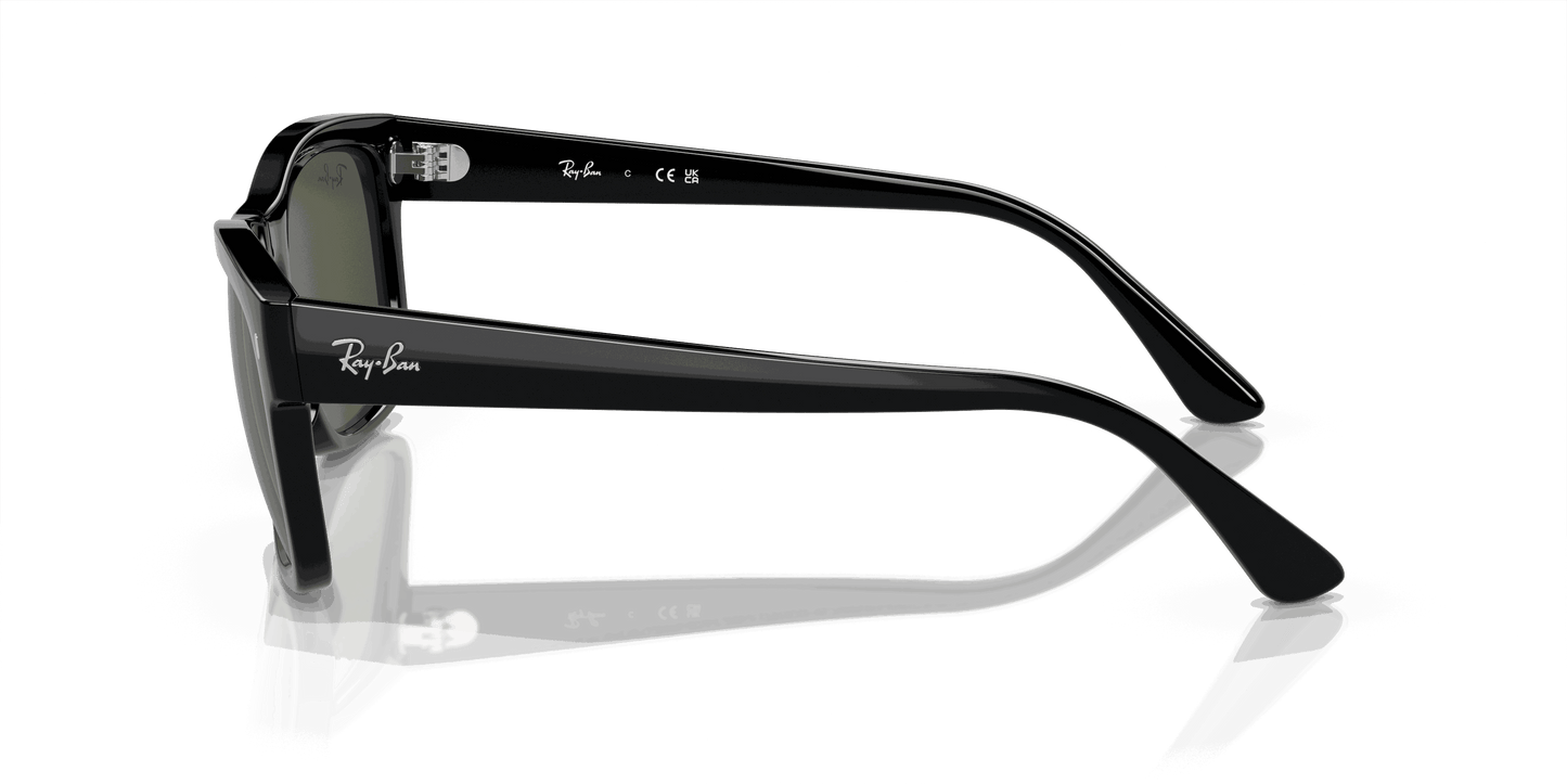 [Green Lenses, Polished Black Frame]